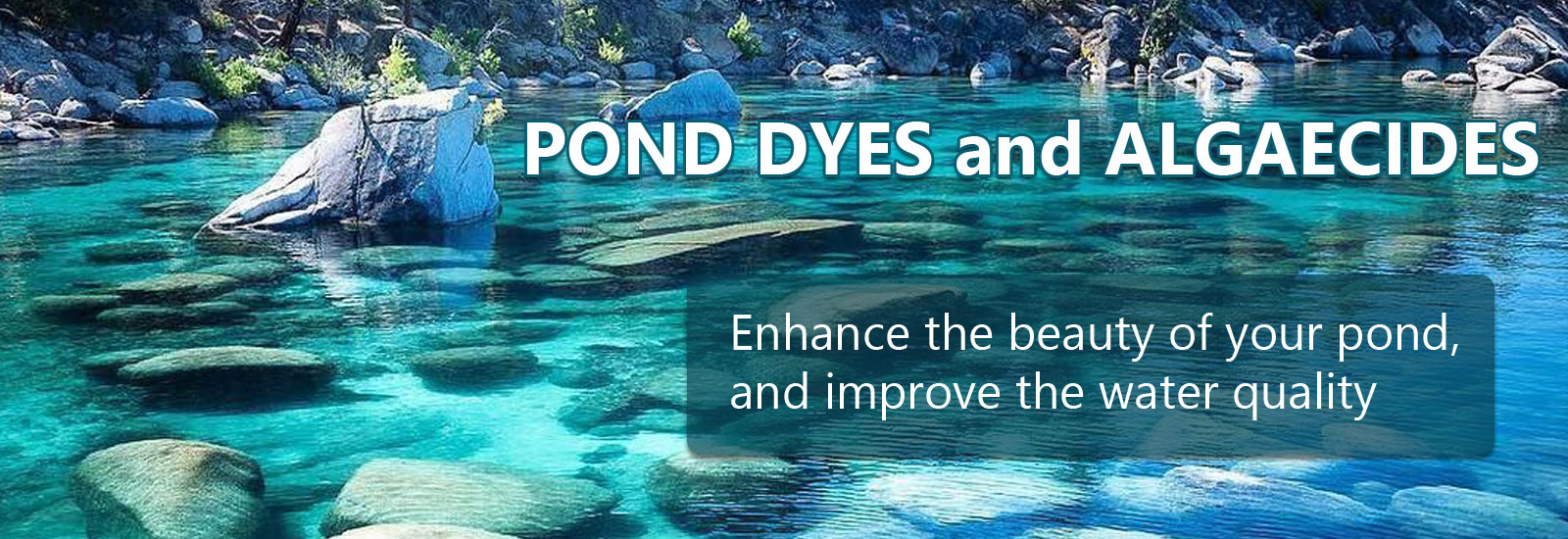 Pond Dyes and Algaecides
